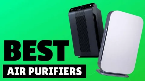 Best Air Purifiers