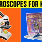 Microscope for Kids Unlocking the Wonders of the Microscopic World