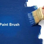 Paint Brush