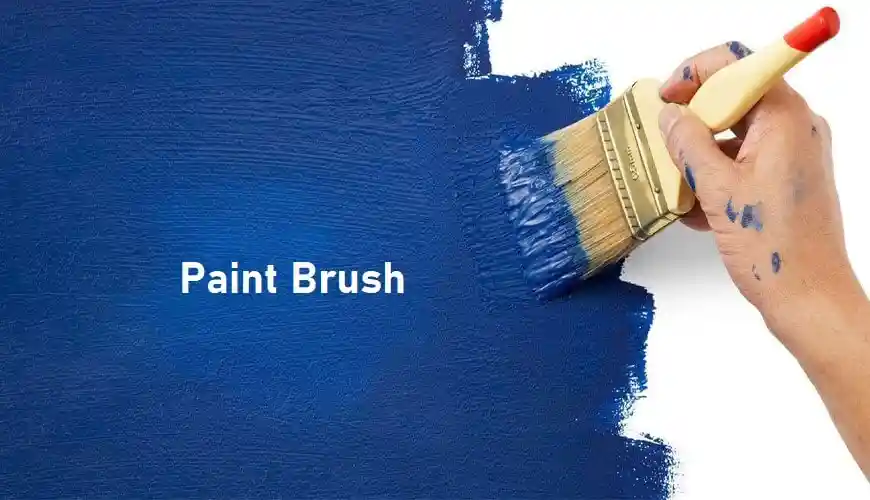 Paint Brush