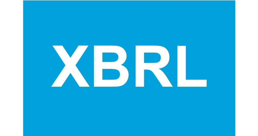 XBRL Format